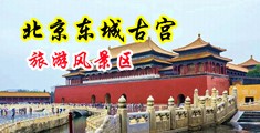 啊啊啊，好痒，快进来好大，好舒服啊啊啊中国北京-东城古宫旅游风景区
